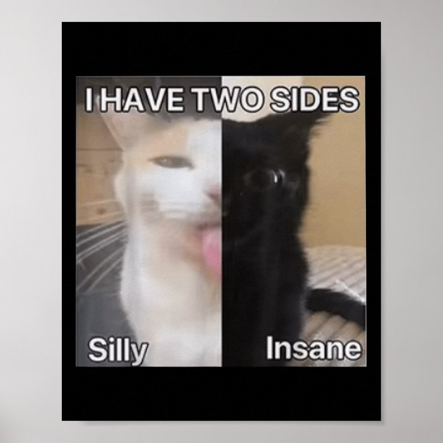 Jag har två sidor Fånig, inintelligent Cat Funny F Poster (Framsidan)
