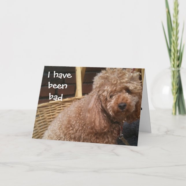 JAG HAR VARIT BAD-BELAGAD BIRTHDAY KORT (Framsida)