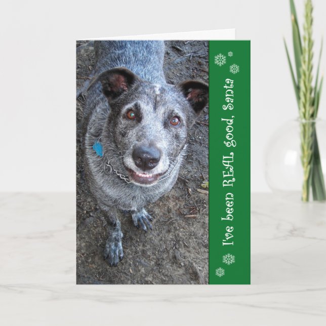 Jag har varit VERKLIGA bra Santa | julkort Helgkort (Framsida)