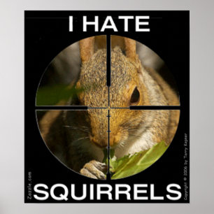 Jag hatar ekorrar - i räckvidden - affischen poster