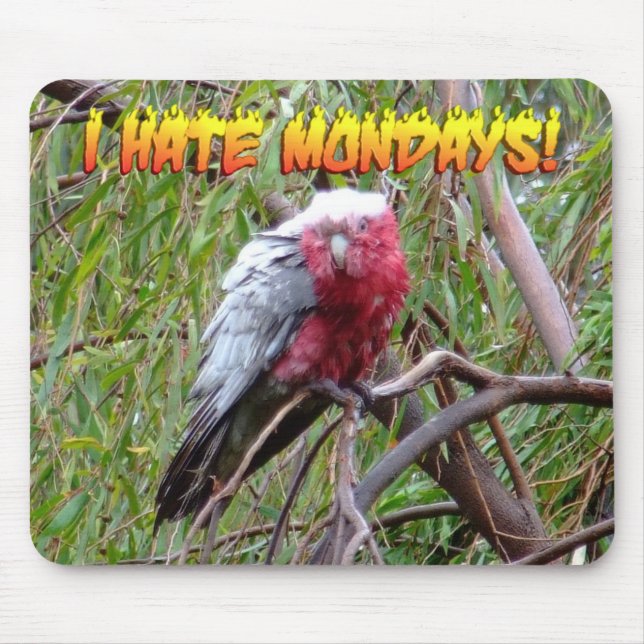 Jag hatar Måndagar Musmatta (Framsidan)