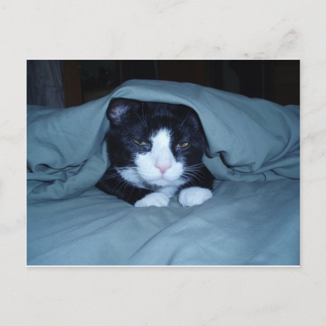 Jag hatar Måndagar! Vykort (Framsida)