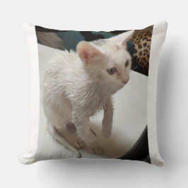 Jag hatar människor! Katt kastkudde Kudde