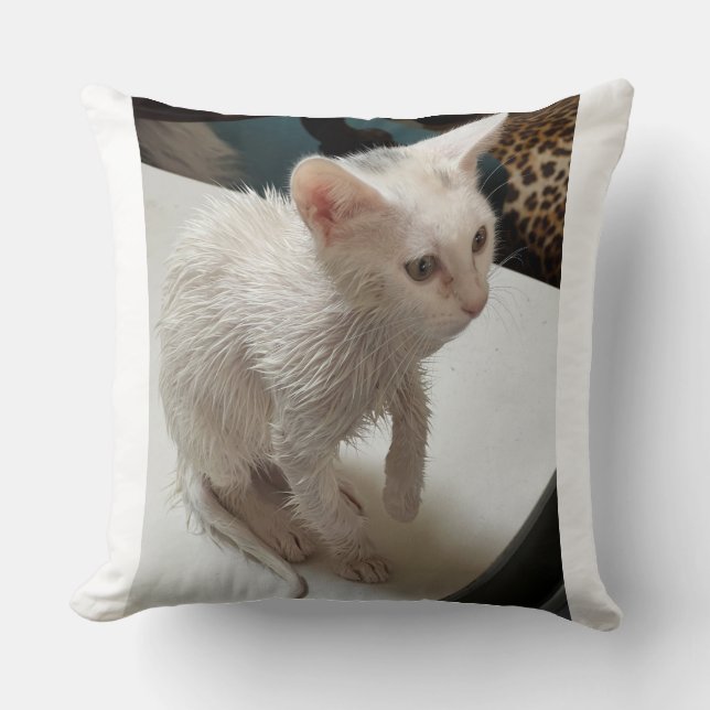 Jag hatar människor! Katt kastkudde Kudde (Framsida)