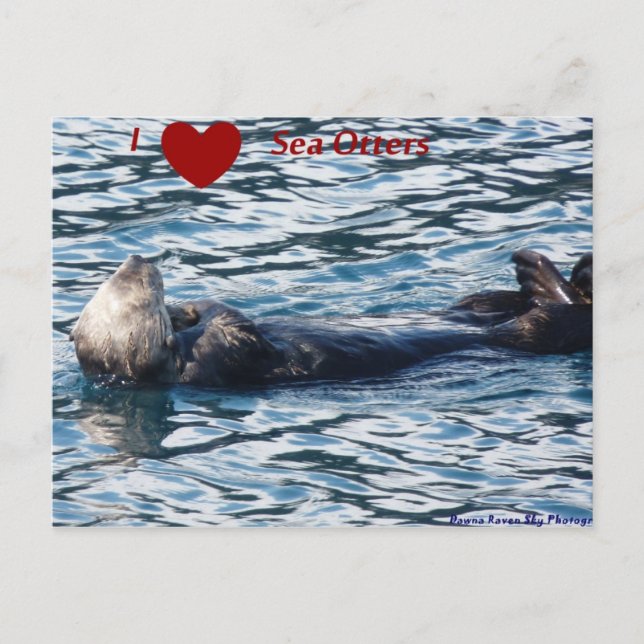 Jag Heart Sea-otters vykort (Framsida)