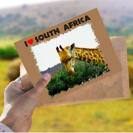 Jag Heart South Afrika Giraffe Thorn träd Vykort