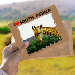 Jag Heart South Afrika Giraffe Thorn träd Vykort