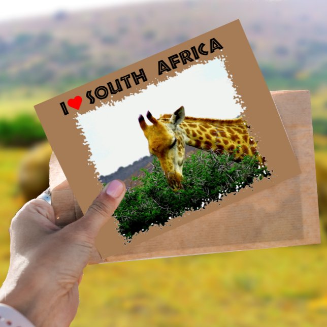 Jag Heart South Afrika Giraffe Thorn träd Vykort (Skapare uppladdad)