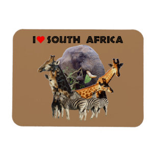 Jag Heart South Afrika Wildlife Collage Magnet