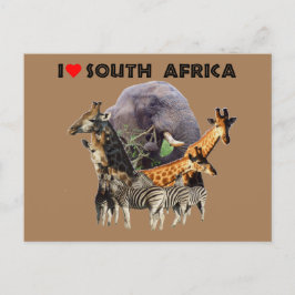 Jag Heart South Afrika Wildlife Collage Vykort