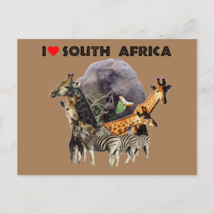 Jag Heart South Afrika Wildlife Collage Vykort