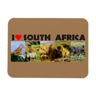 Jag Heart South Afrika Wildlife Photos Magnet