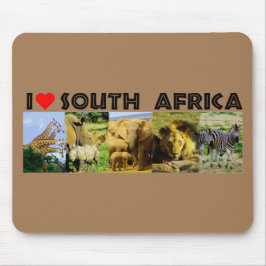 Jag Heart South Afrika Wildlife Photos Musmatta
