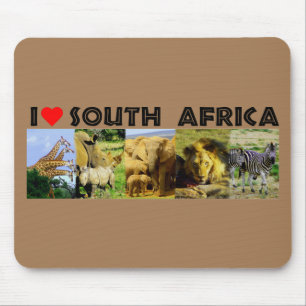 Jag Heart South Afrika Wildlife Photos Musmatta