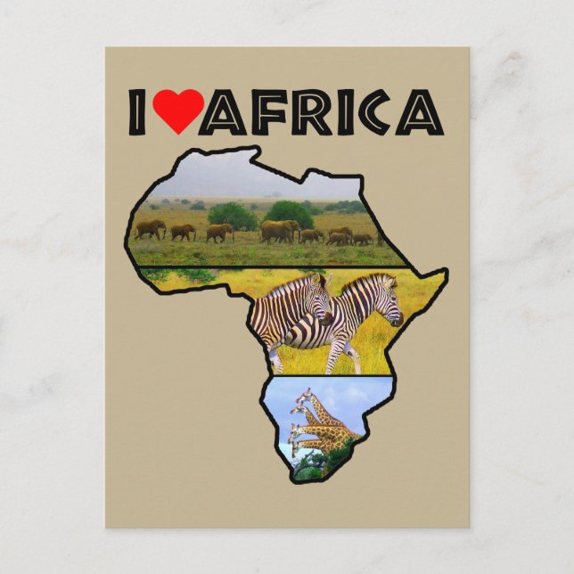Jag Heat Afrika Wildlife Collage Postcard Vykort (Framsida)