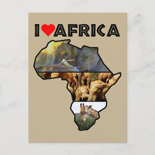 Jag Heat Afrika Wildlife Collage Postcard Vykort (Framsida)