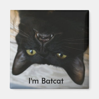 Jag heter Batcat magnet