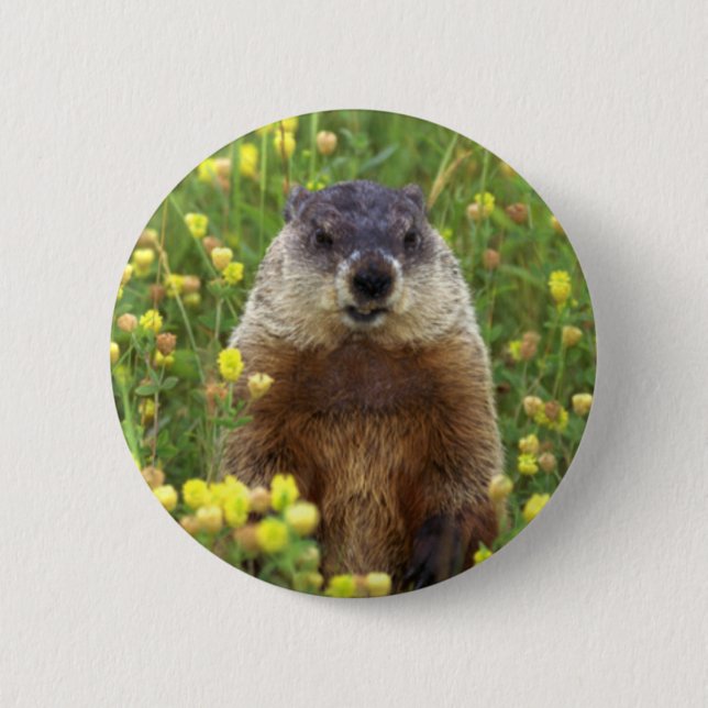 Jag heter Groundhog Button Knapp (Framsida)