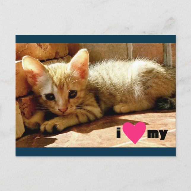Jag hjärta min katt vykort (Framsida)