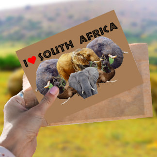 Jag hjärta South Afrika Elephant Emblem Vykort