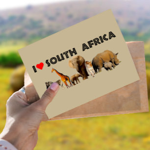 Jag hjärta South Afrika Wildlife Collage Vykort