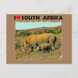 Jag Hjärtar syd-Afrikan Rhino bland rå Vykort