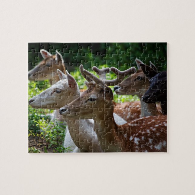 Jag hör Pussel (Horisontell)