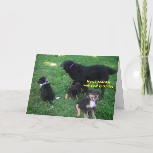 Jag hörde att det var din födelsedag kort (Framsida)