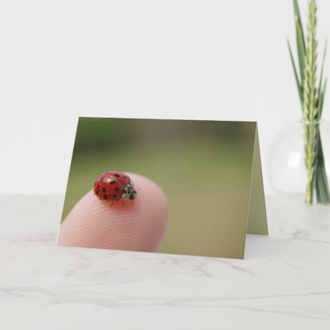 Jag hörde att du tog en Kryp Kort (Framsida)