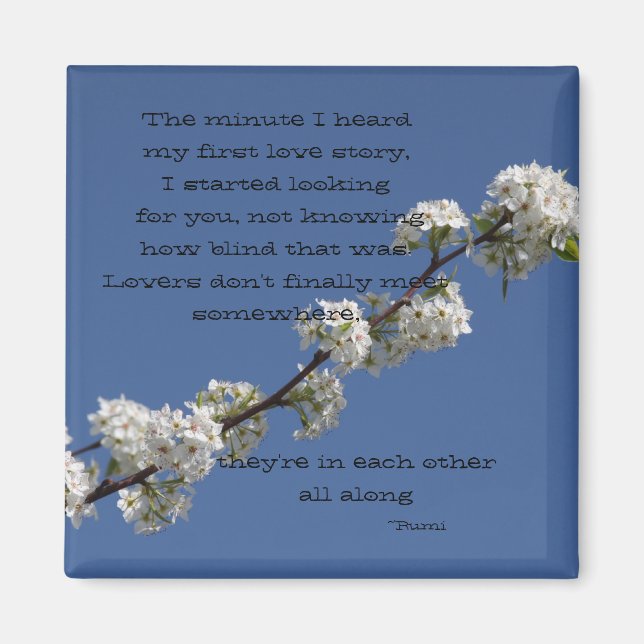 Jag hörde min första kärlek-berättelse magnet (Framsidan)