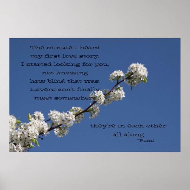 Jag hörde min första kärlek-berättelse poster (Framsidan)