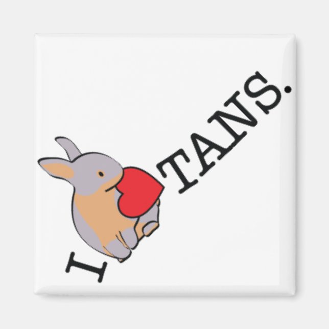 JAG HÖRDE TANS! MAGNET (Framsidan)