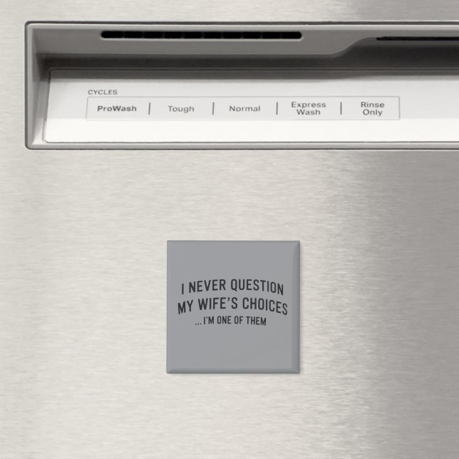 Jag ifrågasätter aldrig min frus val jag är en av  magnet (In Situ (Dishwasher))