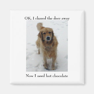 Jag jagade bort hjorten, nu.. magnet