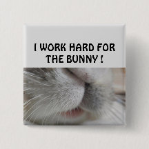 Jag jobbar hårt för bunny