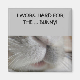 Jag jobbar hårt för bunny Magnet
