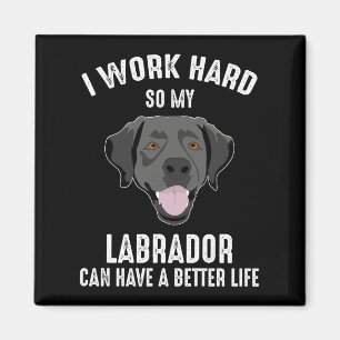 Jag jobbar hårt så att mitt labrador kan få ett bä magnet