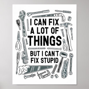 Jag kan fixa mycket Sak, men jag kan inte laga Stu Poster