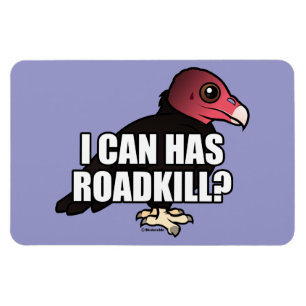 Jag kan har Roadkill? Magnet