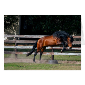 Jag kan hoppa hälsningskort