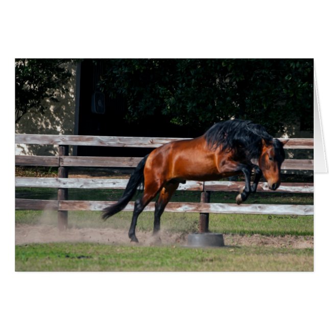 Jag kan hoppa hälsningskort (Framsidan Horizontal)