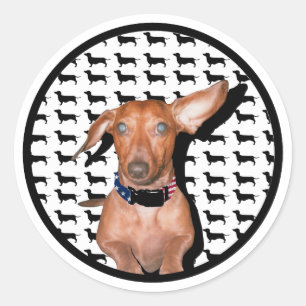 Jag kan höra dig runt klistermärke