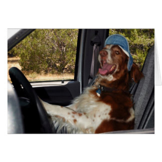 JAG KAN INTE DRIVA 55! - Anpassad OBS Kort