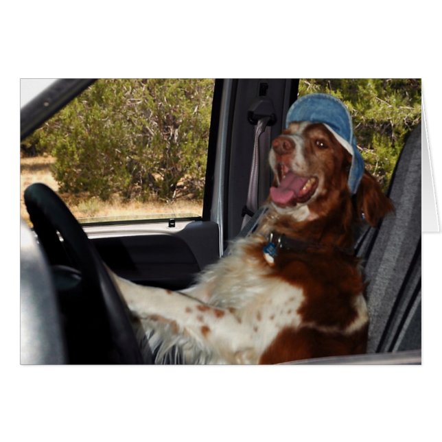 JAG KAN INTE DRIVA 55! - Anpassad OBS Kort (Framsidan Horizontal)