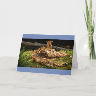 Jag kan inte se det! kort