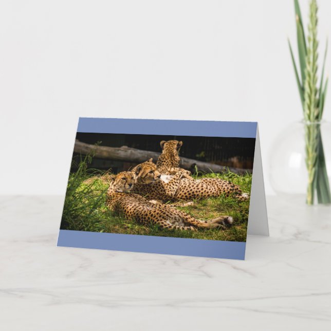 Jag kan inte se det! kort (Framsida)