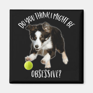 Jag kan vara överdrivet typisk Gräns Collie Magnet