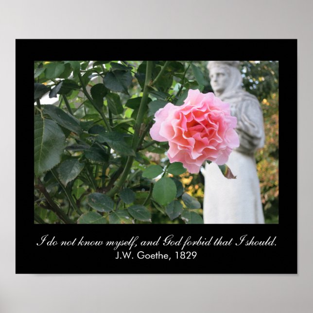 Jag känner inte mig själv, och.. (J.W. Goethe, cit Poster (Framsidan)