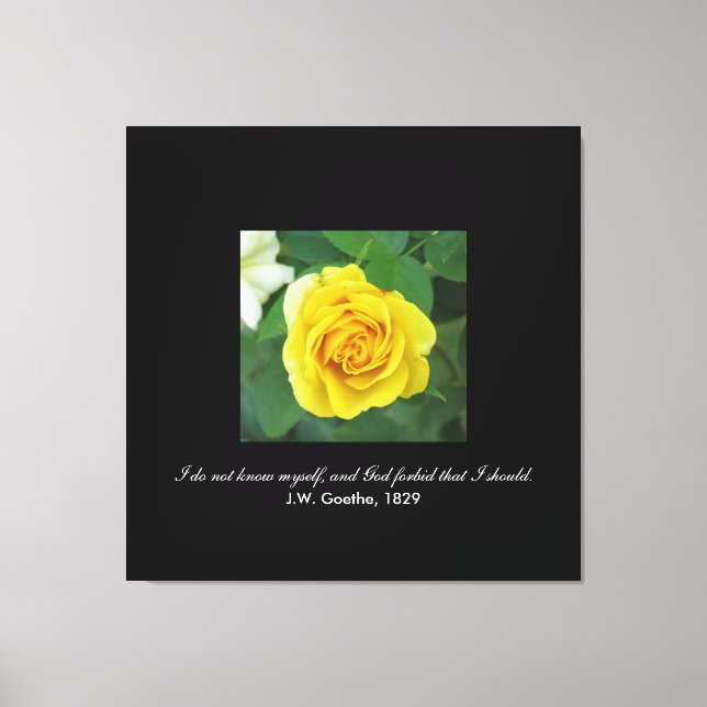 Jag känner mig inte själv. . . (Goethe) Canvastryck (Framsida)