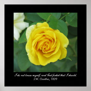 Jag känner mig inte själv. . . (Goethe) Poster